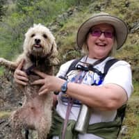 Sitter Profile Image: Susie & Daniel C.