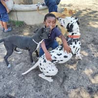 Sitter Profile Image: Ximadra F.