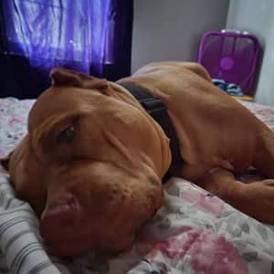 Sitter Profile Image: Keith & Ashley P.