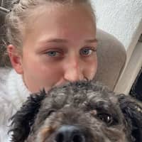 Profilbilde av hundepasser: Rebekka H.
