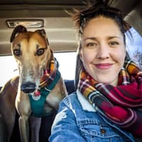 Sitter Profile Image: Avery K.