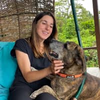 Photo de profil du pet sitter : Reynal C.