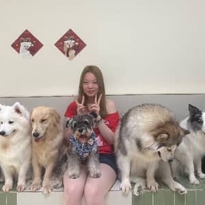 Sitter Profile Image: Jieyi G.