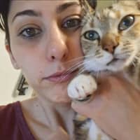 Immagine del profilo del sitter: Silvia P.