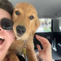 Sitter Profile Image: Ellen R.