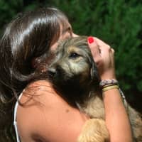 Foto del cuidador: CARMEN M.