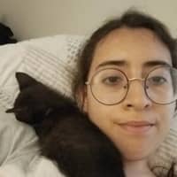 Sitter Profile Image: Ashley V.