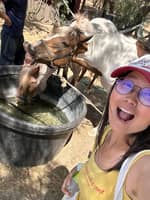 Passarens profilbild: Wangqiu C.