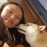 Immagine del profilo del sitter: Ilaria Y.