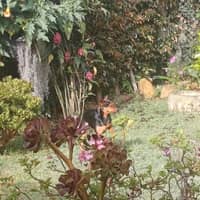 Foto del cuidador: Diana Paola Z.