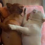 Sitter Profile Image: Jenn E.