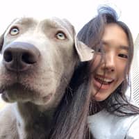 Sitter Profile Image: Grace C.