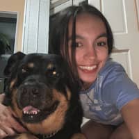 Sitter Profile Image: Bodech C.