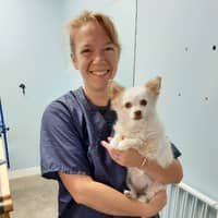 Sitter Profile Image: Rachel M.