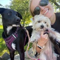 Sitter Profile Image: Moriah V.