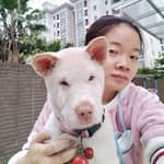 Sitter Profile Image: Jingfeng F.