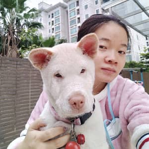 Sitter Profile Image: Jingfeng F.