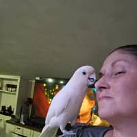 Sitter Profile Image: Hannah S.