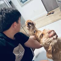 Sitter Profile Image: Mauricio M.