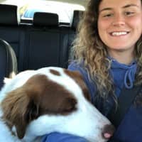 Sitter Profile Image: Rachel F.