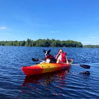 Sitter Profile Image: Anna B.