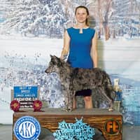 Sitter Profile Image: Carolyn W.