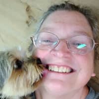 Sitter Profile Image: Sarah C.