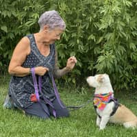 Sitter Profile Image: Stephanie W.