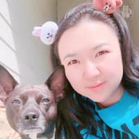 Sitter Profile Image: Qin D.