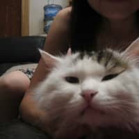 Sitter Profile Image: Qianting Z.