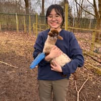 Sitter Profile Image: Hoi Ki W.