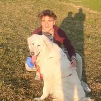 Immagine del profilo del sitter: Riccardo Maria M.