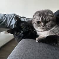 Photo de profil du pet sitter : Anna L.