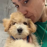 Sitter Profile Image: Magda G.