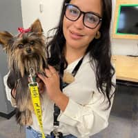 Sitter Profile Image: Angelica C.