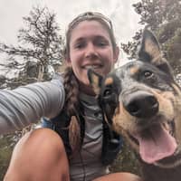 Profilbilde av hundepasser: Molly T.