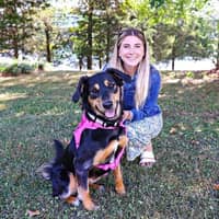 Sitter Profile Image: Kaitlin K.