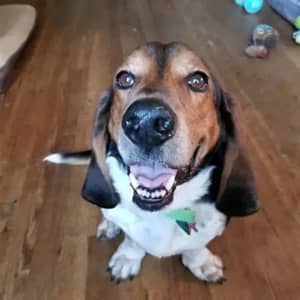 Sitter Profile Image: Katerina K.