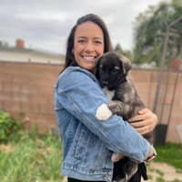 Sitter Profile Image: Katie F.