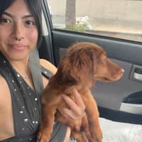 Sitter Profile Image: Arleen L.