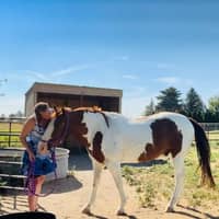 Sitter Profile Image: Larissa Y.