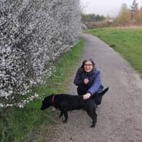 Sitter Profile Image: Elisa M.