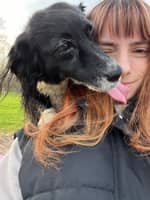 Sitter Profile Image: Emily G.