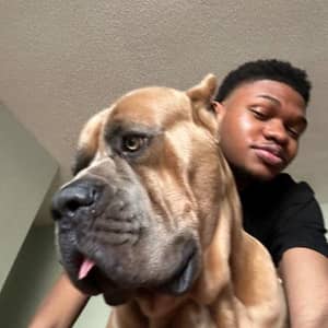 Sitter Profile Image: Tomory B.