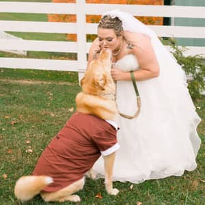 Sitter Profile Image: Courtney M.