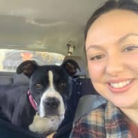 Sitter Profile Image: Chelsea d.