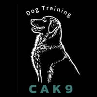 Sitter Profile Image: Abbie C.