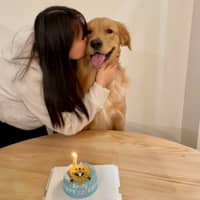 Sitter Profile Image: Qianwen P.