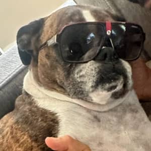 Sitter Profile Image: Vincent O.