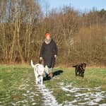 Sitter Profile Image: Julia K.